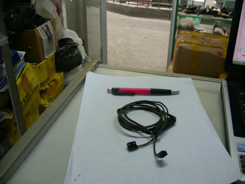 SDC10304